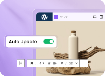 Automatic WordPress Updates & One-Click Staging